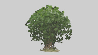3D model Nettle tree model VR / AR / low-poly