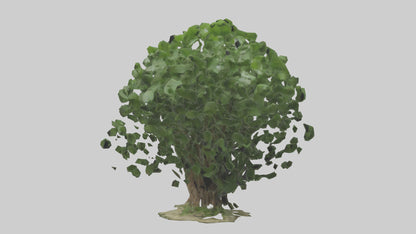 3D model Nettle tree model VR / AR / low-poly
