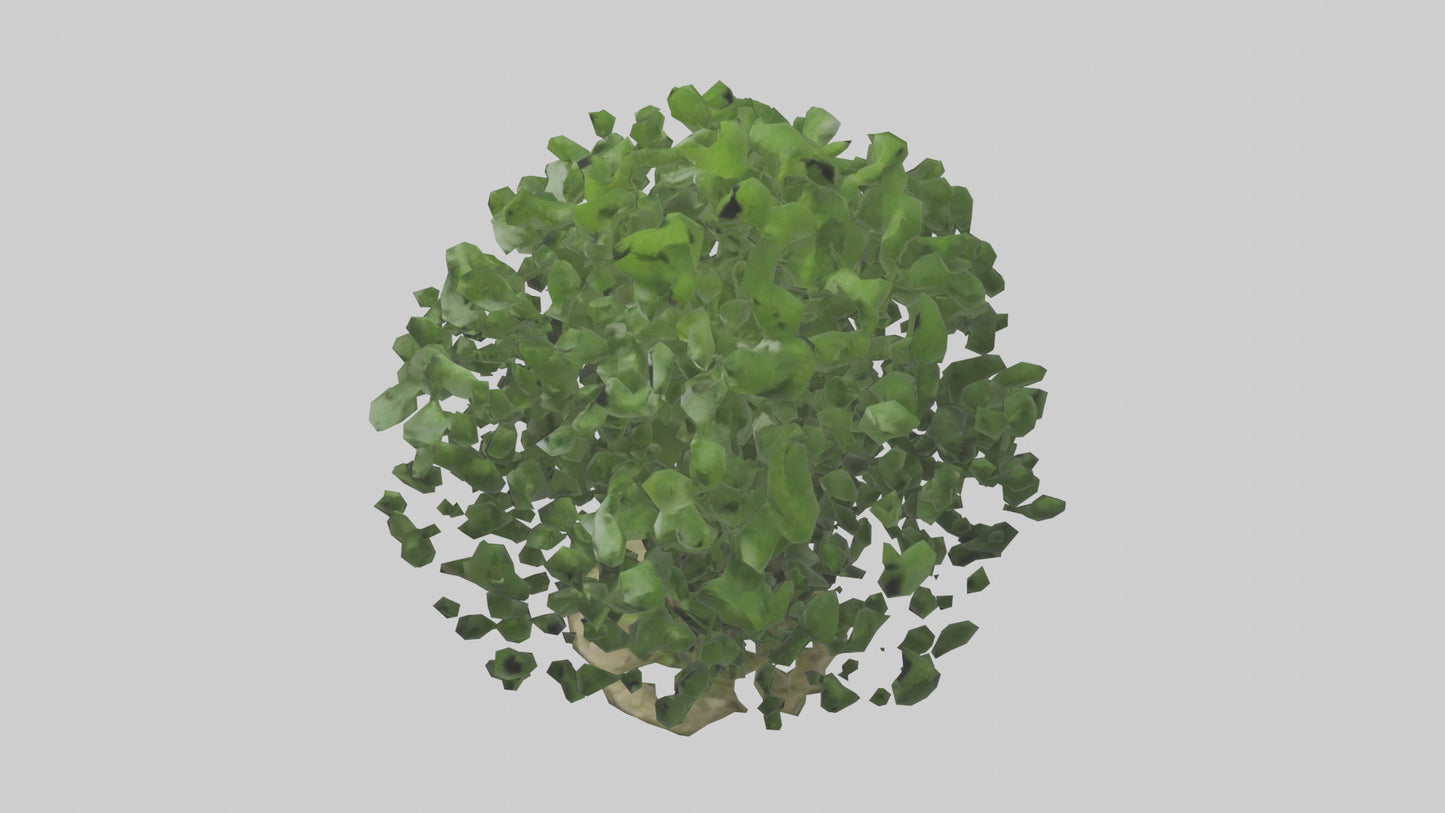 3D model Nettle tree model VR / AR / low-poly