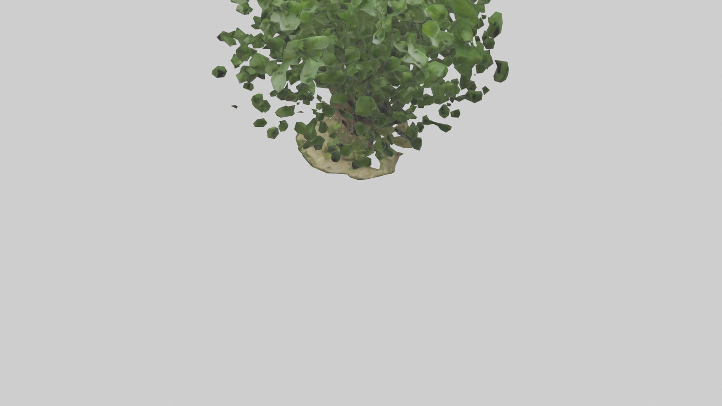 3D model Nettle tree model VR / AR / low-poly