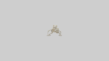 3D model Newt Skeleton model VR / AR / low-poly