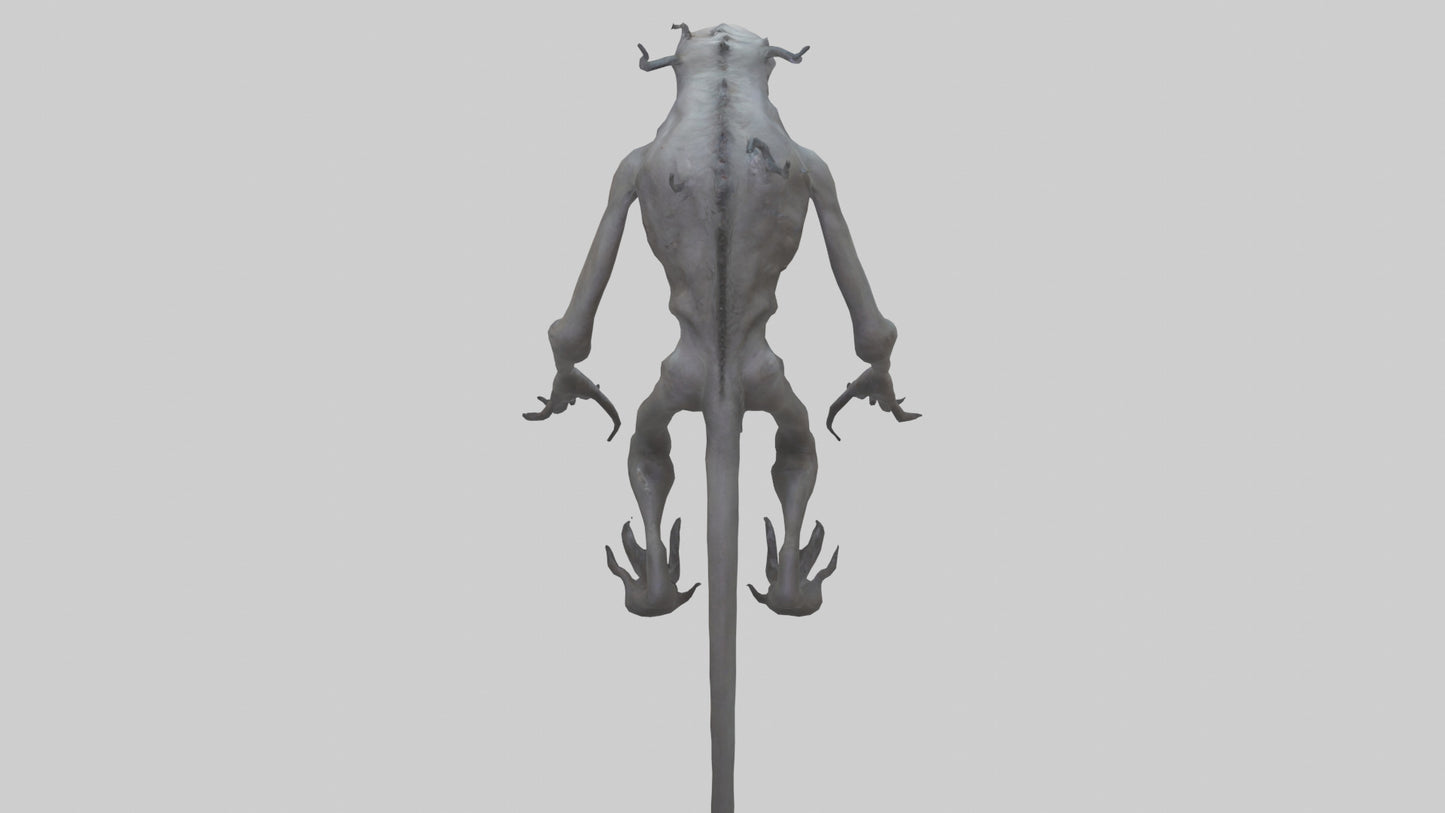 Nightmare creature model VR / AR / low-poly
