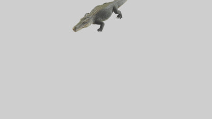 Nile Crocodile basking model VR / AR / low-poly