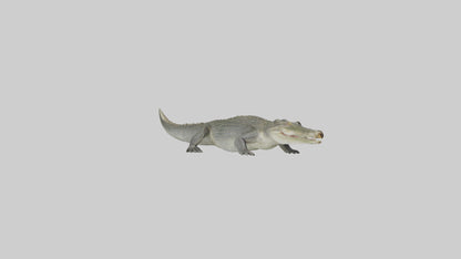 Nile Crocodile basking model VR / AR / low-poly