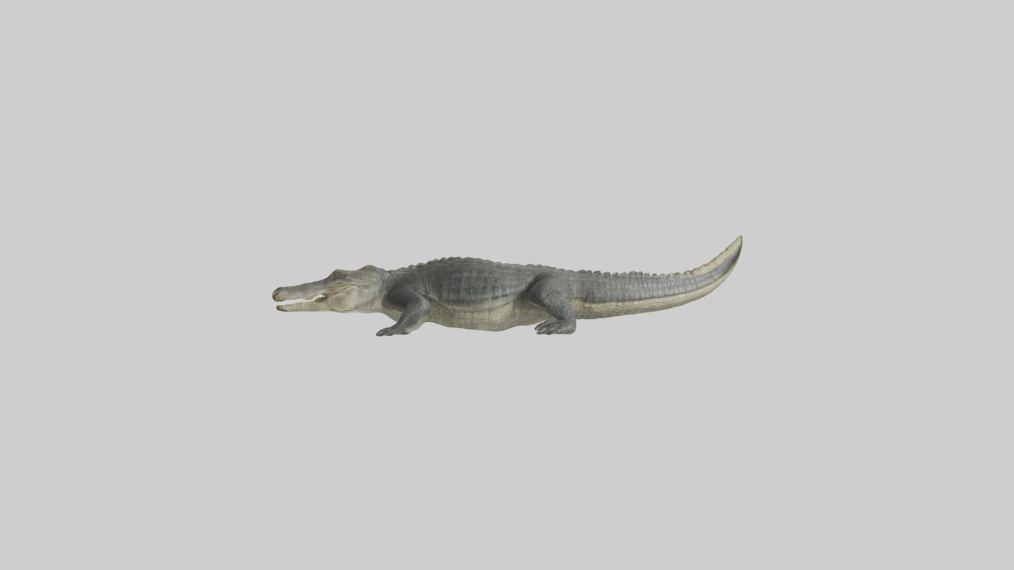 Nile Crocodile basking model VR / AR / low-poly