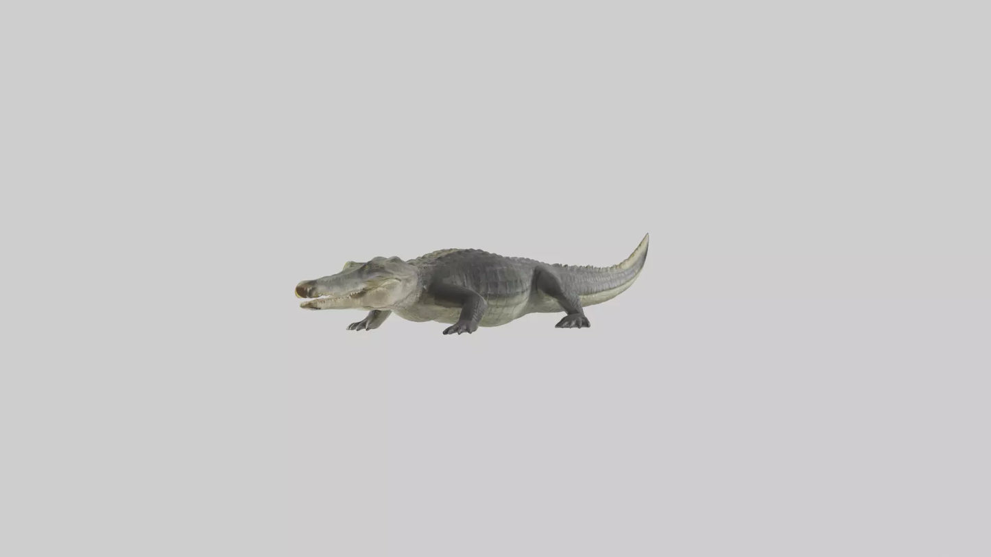 Nile Crocodile basking model VR / AR / low-poly
