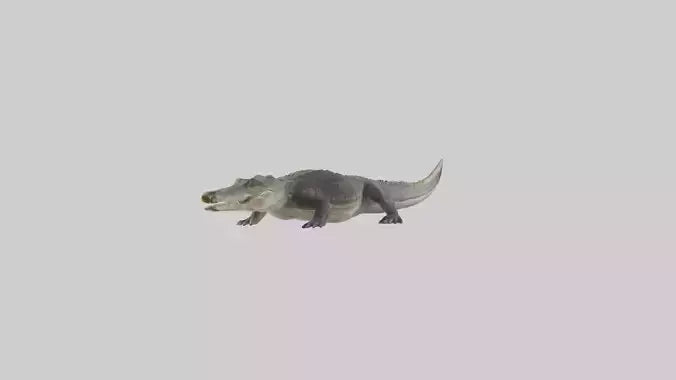 Nile Crocodile basking model VR / AR / low-poly