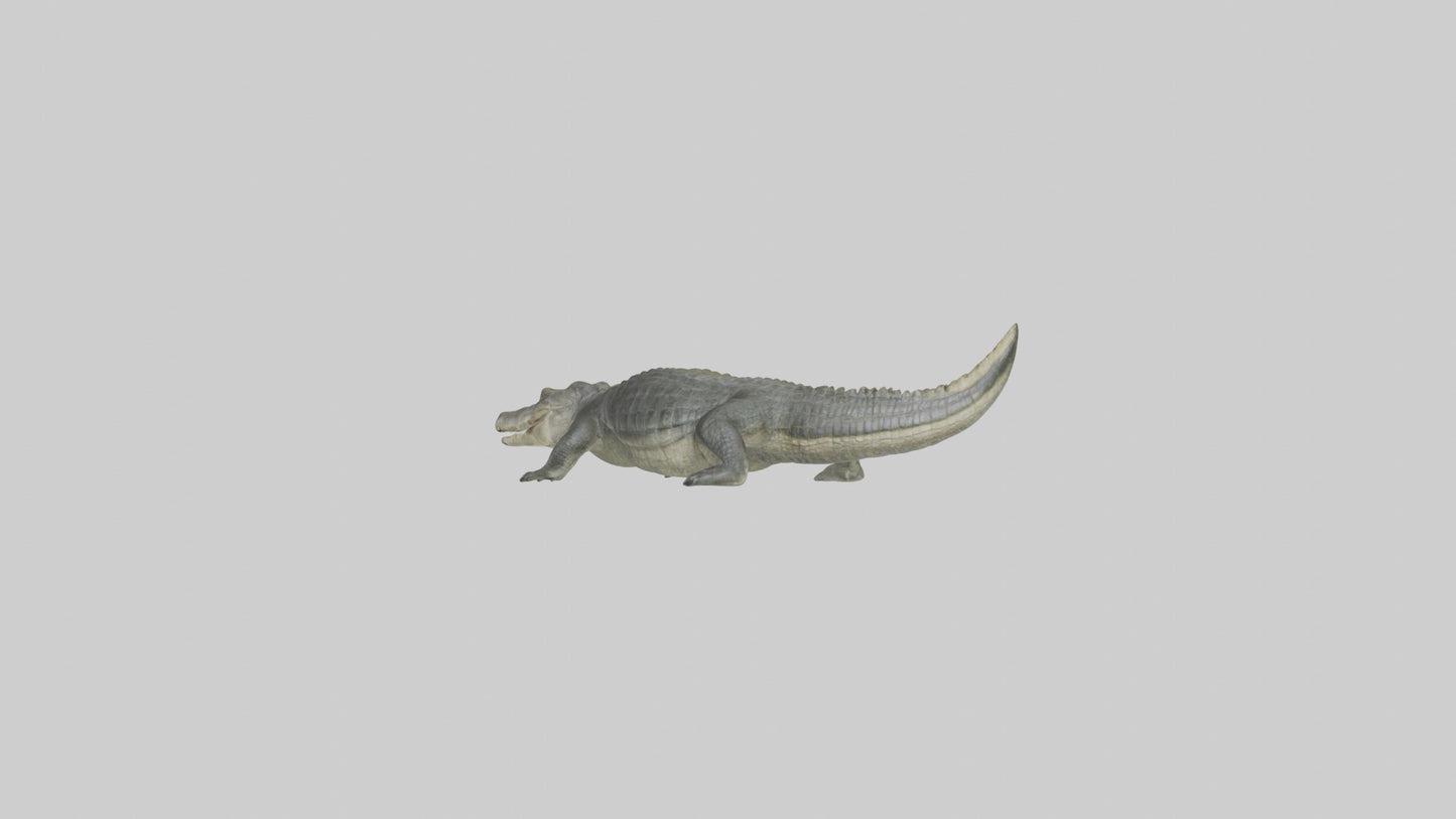 Nile Crocodile basking model VR / AR / low-poly