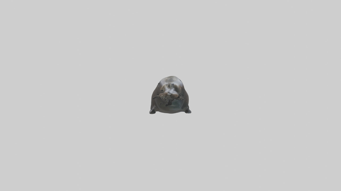Northern Fur Seal swimming model VR / AR / low-poly