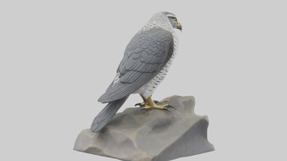 Northern Goshawk statue model VR / AR / low-poly