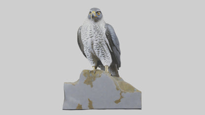 Northern Goshawk statue model VR / AR / low-poly
