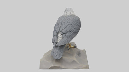 Northern Goshawk statue model VR / AR / low-poly