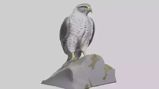 Northern Goshawk statue model VR / AR / low-poly