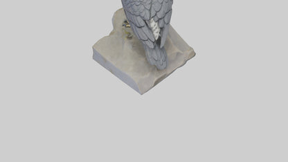 Northern Goshawk statue model VR / AR / low-poly