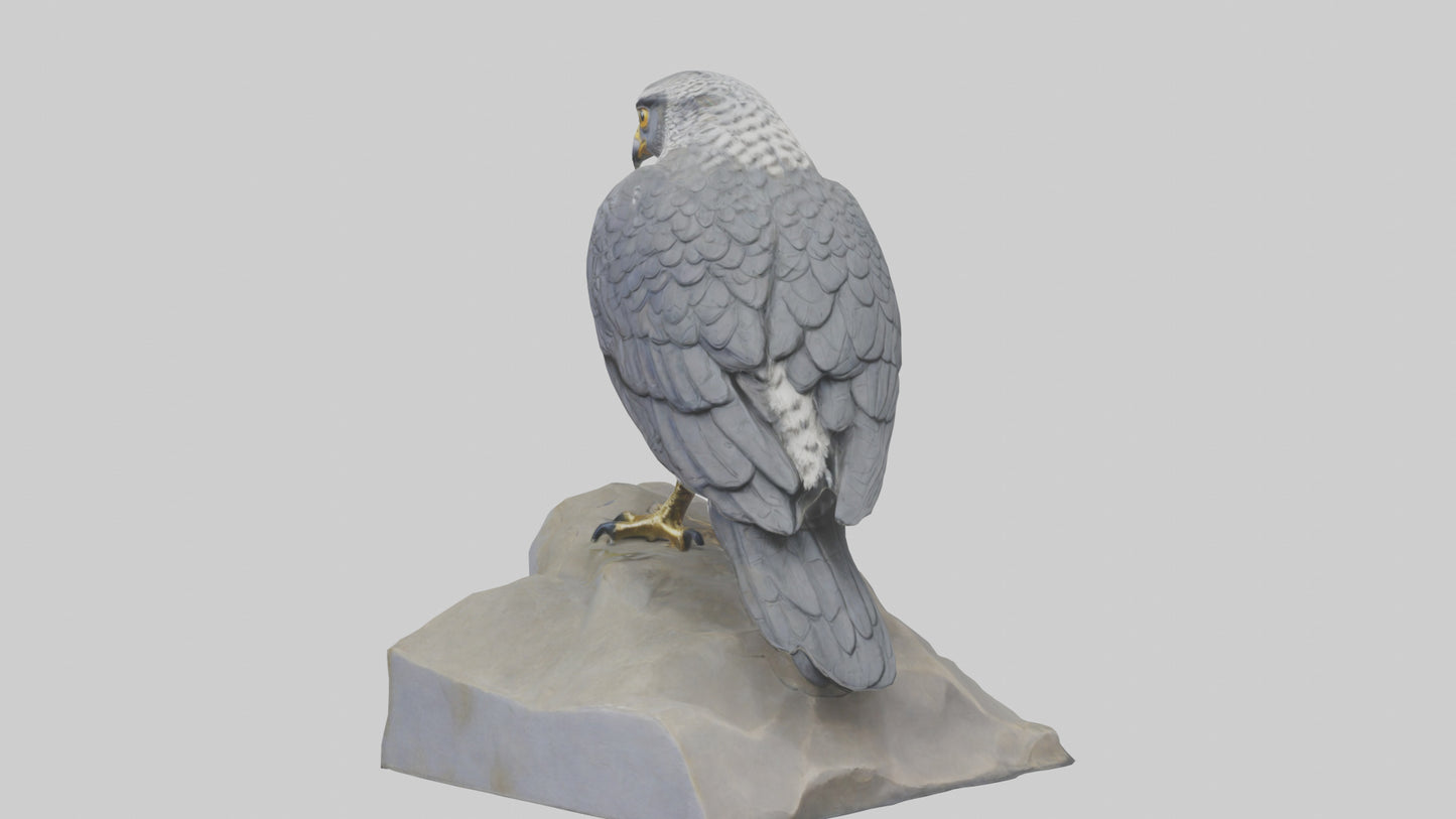 Northern Goshawk statue model VR / AR / low-poly
