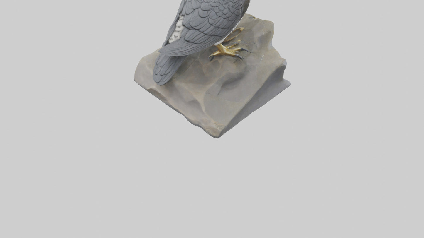 Northern Goshawk statue model VR / AR / low-poly