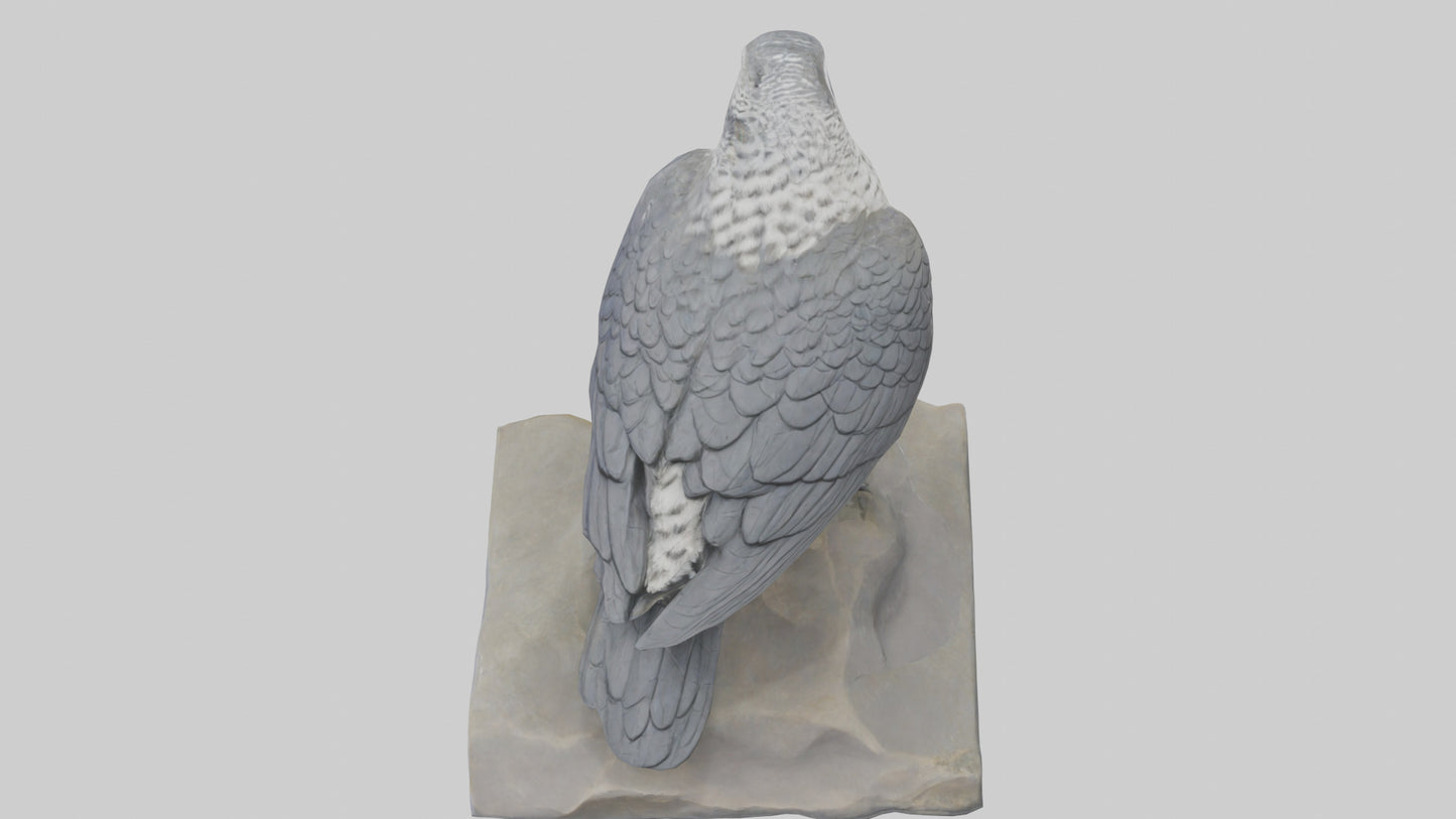 Northern Goshawk statue model VR / AR / low-poly