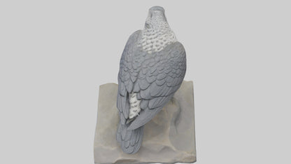 Northern Goshawk statue model VR / AR / low-poly