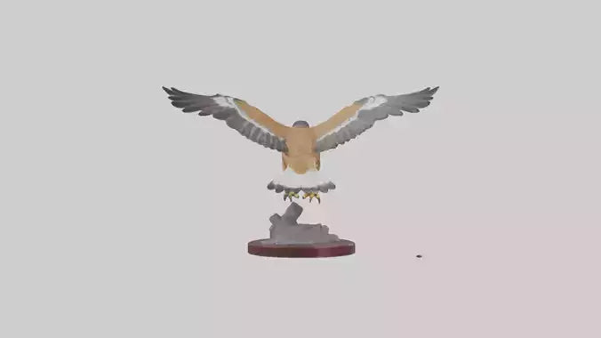 3D model Northern Harrier statue model VR / AR / low-poly