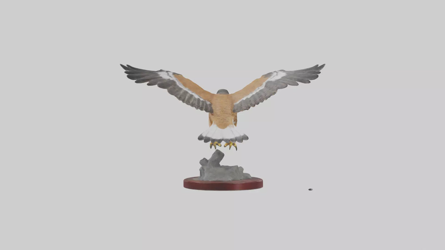3D model Northern Harrier statue model VR / AR / low-poly