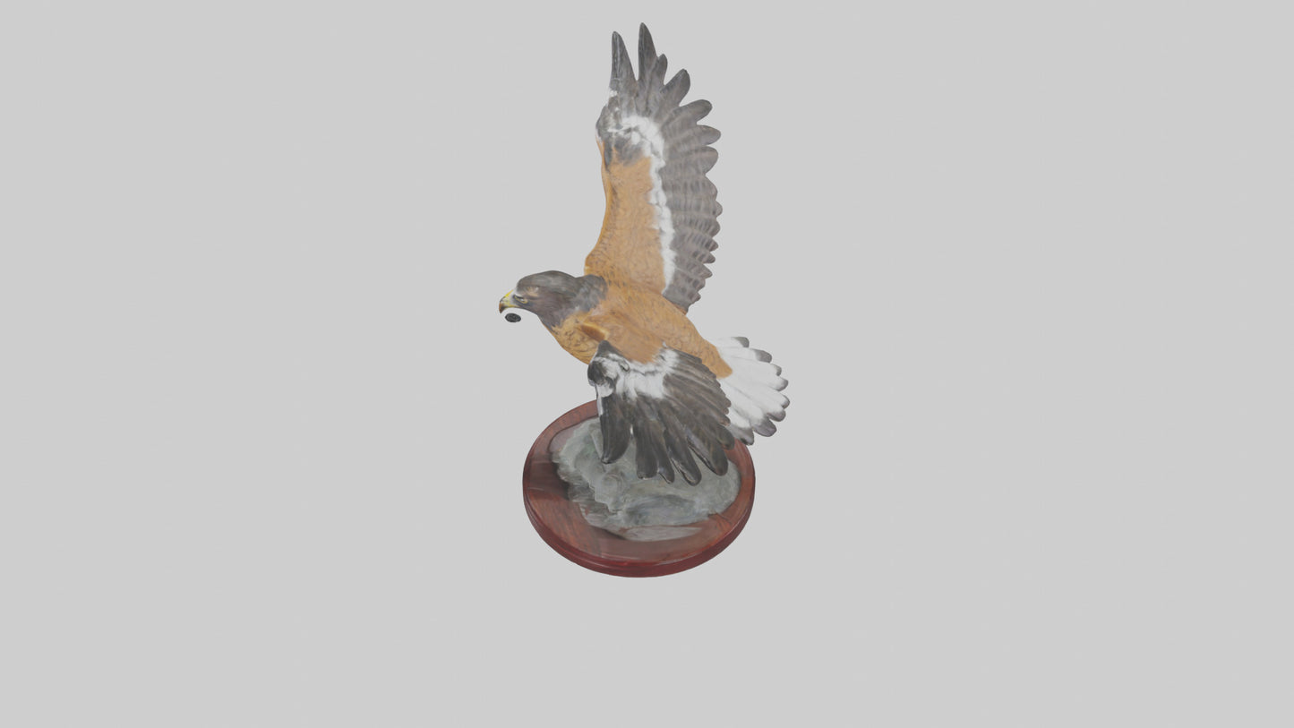 3D model Northern Harrier statue model VR / AR / low-poly