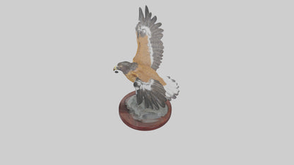 3D model Northern Harrier statue model VR / AR / low-poly