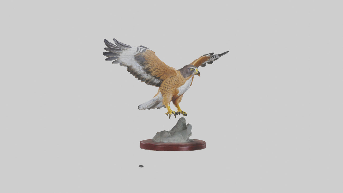 3D model Northern Harrier statue model VR / AR / low-poly