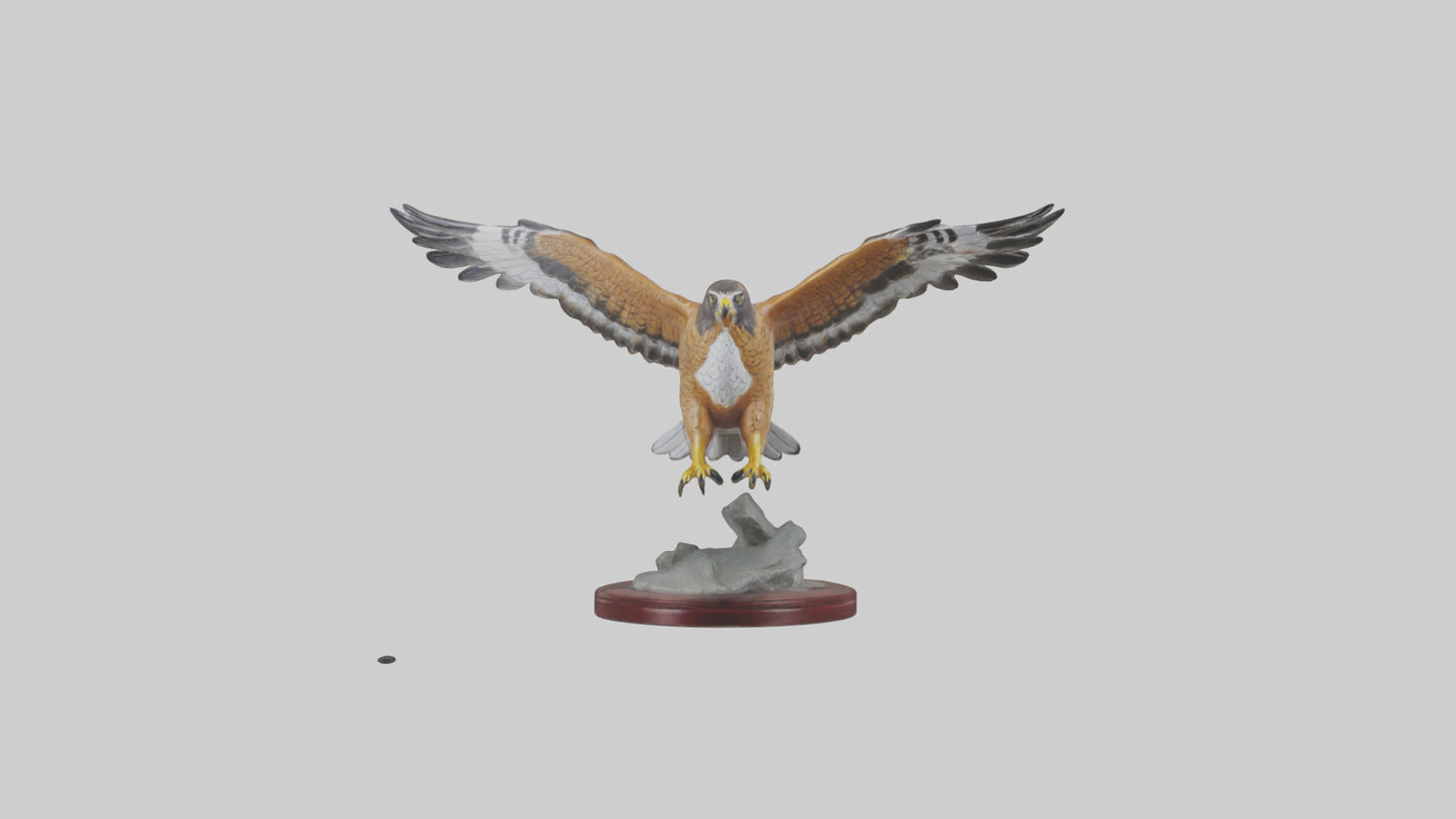 3D model Northern Harrier statue model VR / AR / low-poly