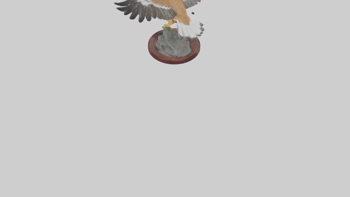 3D model Northern Harrier statue model VR / AR / low-poly