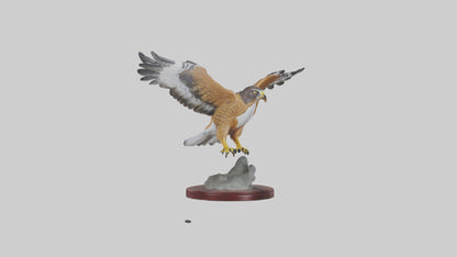 3D model Northern Harrier statue model VR / AR / low-poly