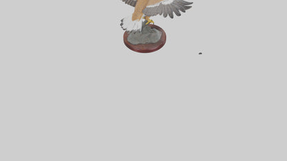 3D model Northern Harrier statue model VR / AR / low-poly