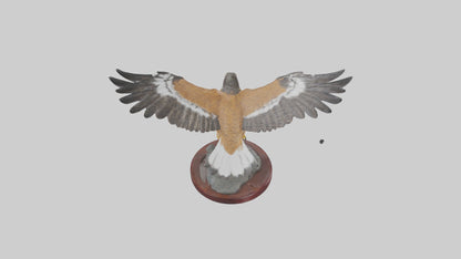 3D model Northern Harrier statue model VR / AR / low-poly
