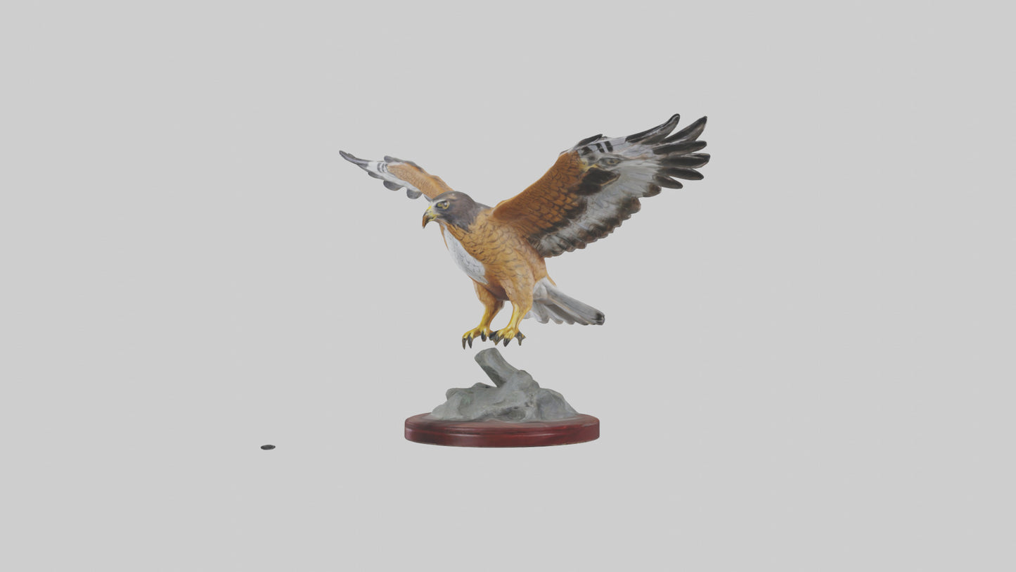 3D model Northern Harrier statue model VR / AR / low-poly