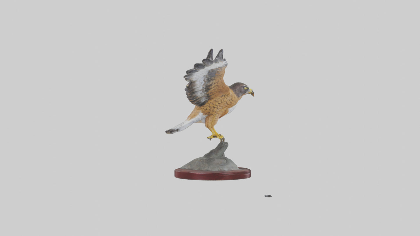 3D model Northern Harrier statue model VR / AR / low-poly