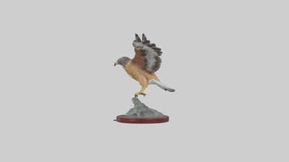 3D model Northern Harrier statue model VR / AR / low-poly