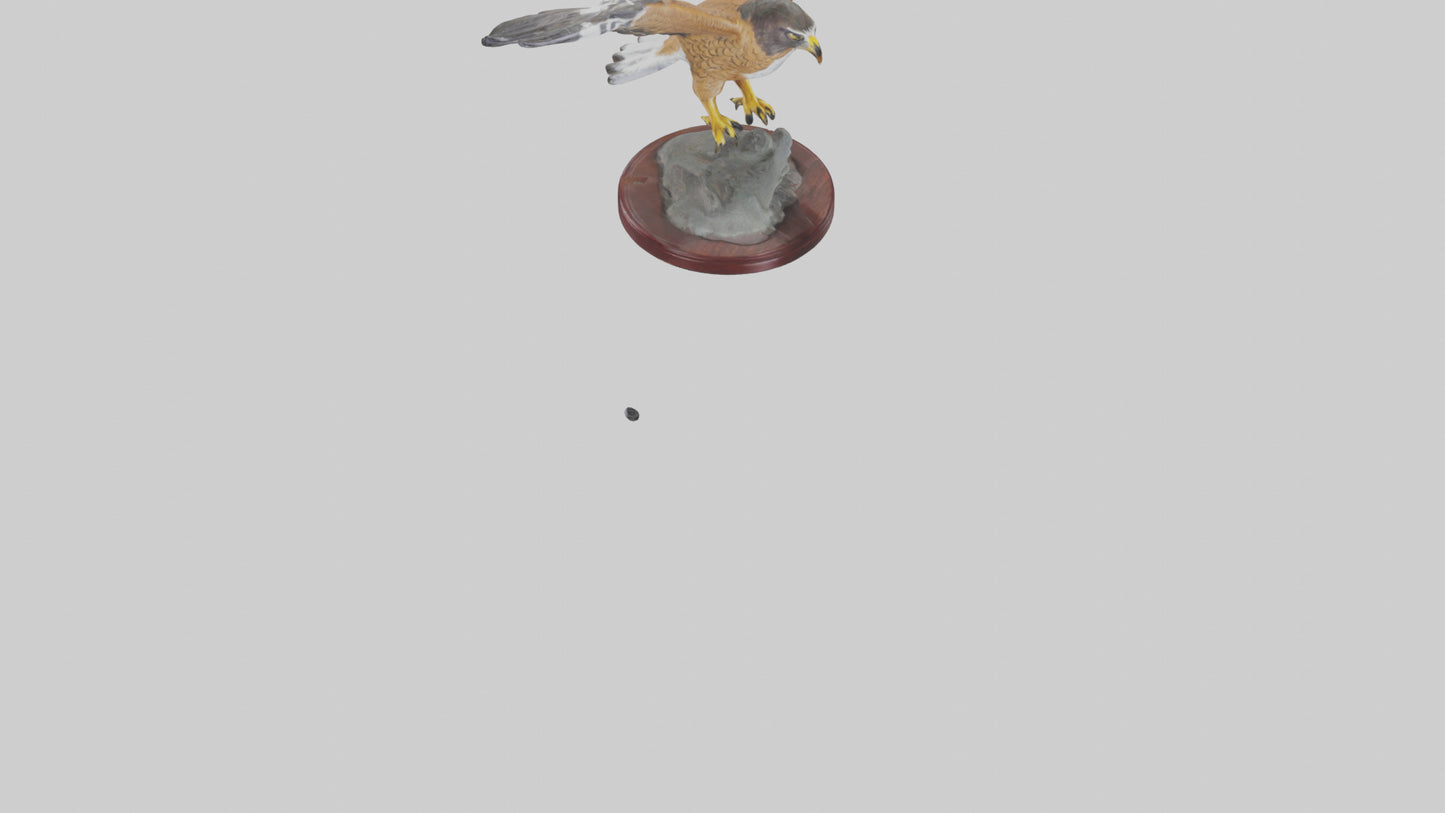 3D model Northern Harrier statue model VR / AR / low-poly