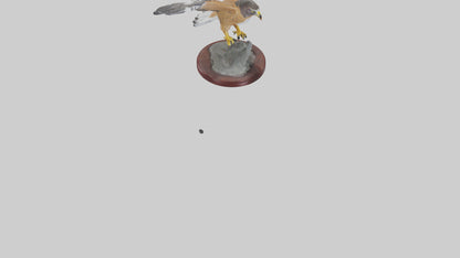 3D model Northern Harrier statue model VR / AR / low-poly