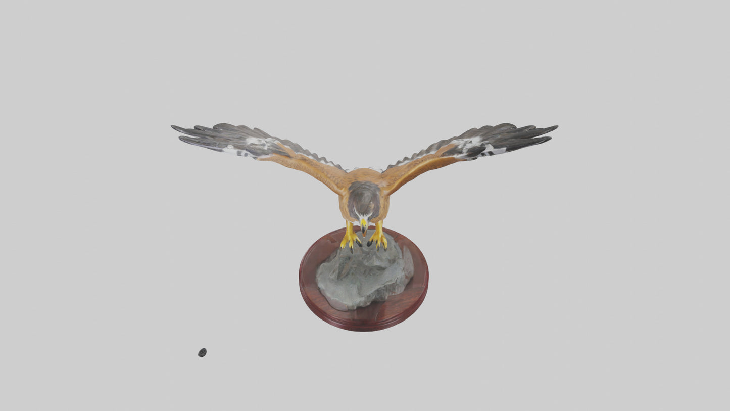 3D model Northern Harrier statue model VR / AR / low-poly