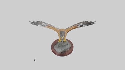 3D model Northern Harrier statue model VR / AR / low-poly