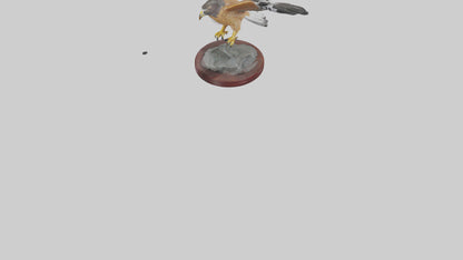 3D model Northern Harrier statue model VR / AR / low-poly