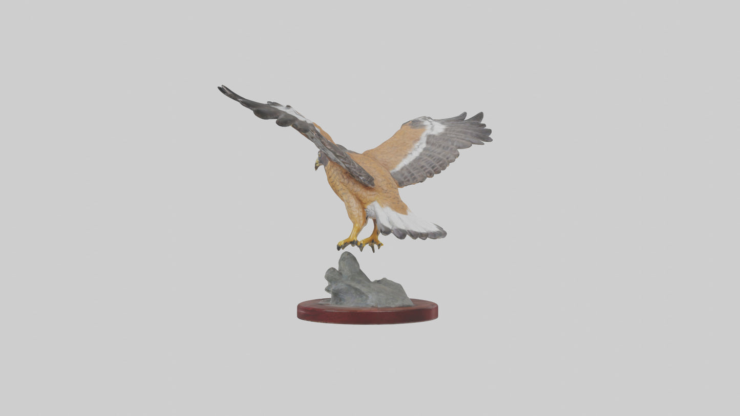 3D model Northern Harrier statue model VR / AR / low-poly