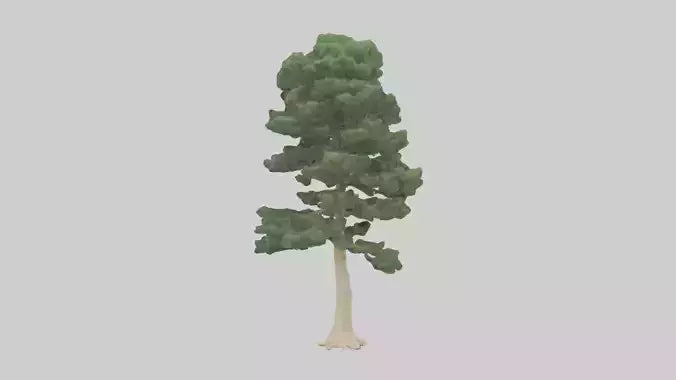 3D model Northern White Cedar tree model VR / AR / low-poly