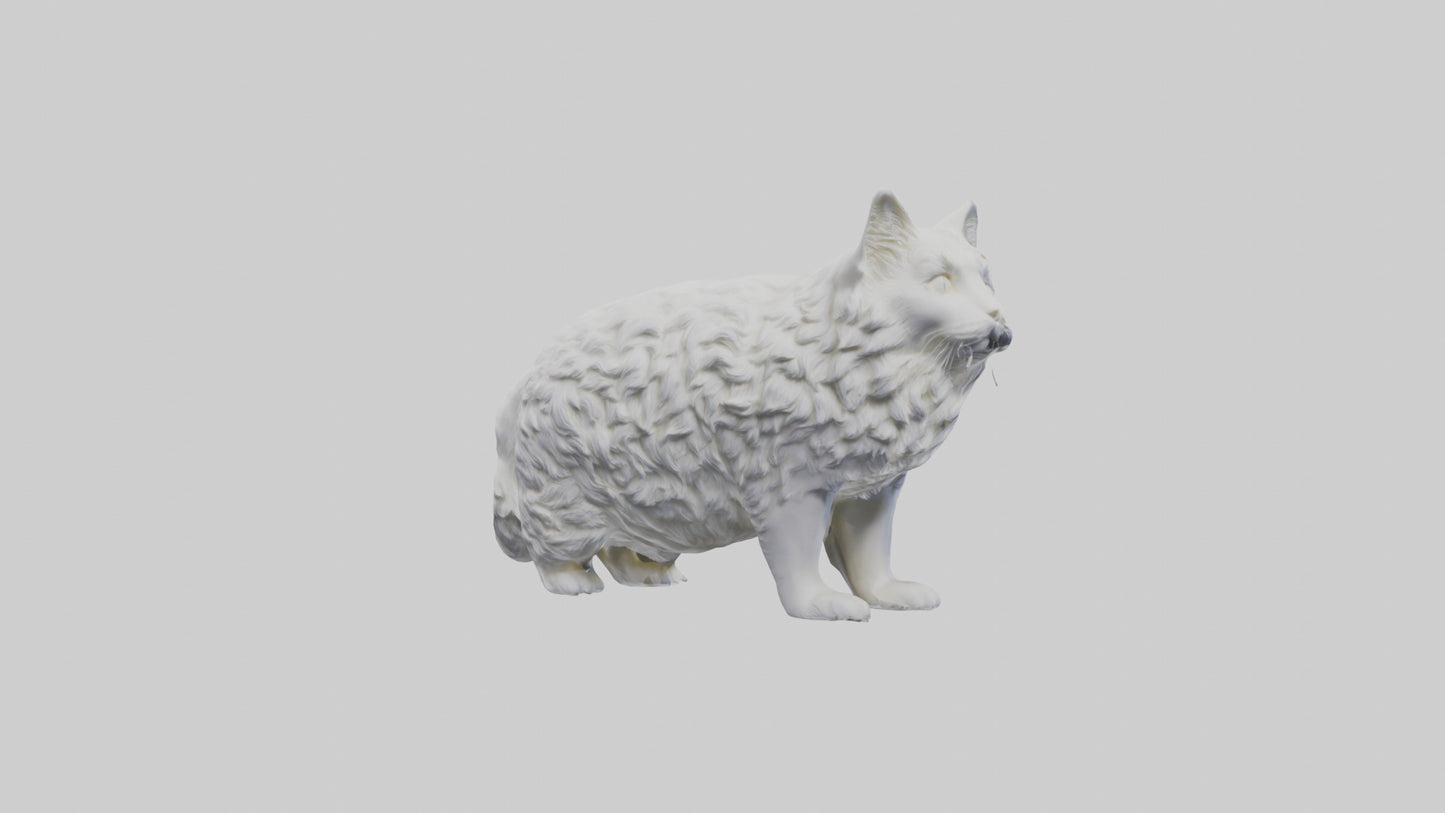 Norwegian Forest Cat statue model VR / AR / low-poly