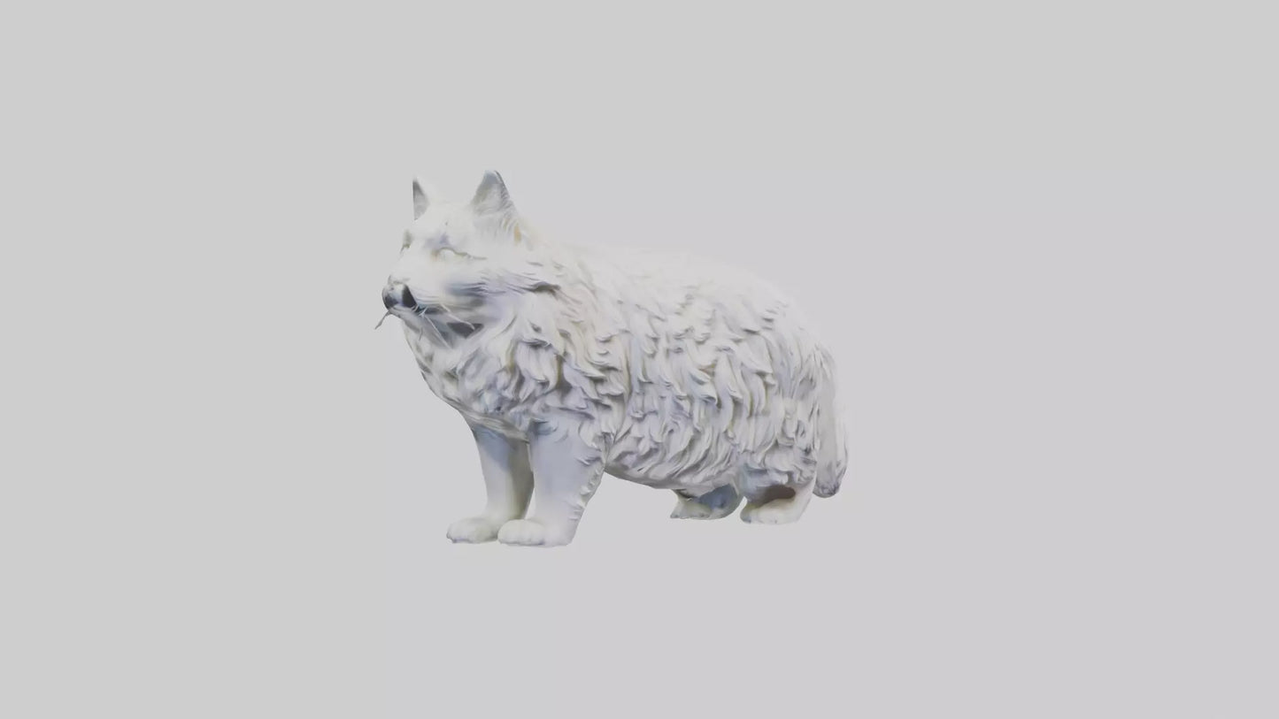 Norwegian Forest Cat statue model VR / AR / low-poly