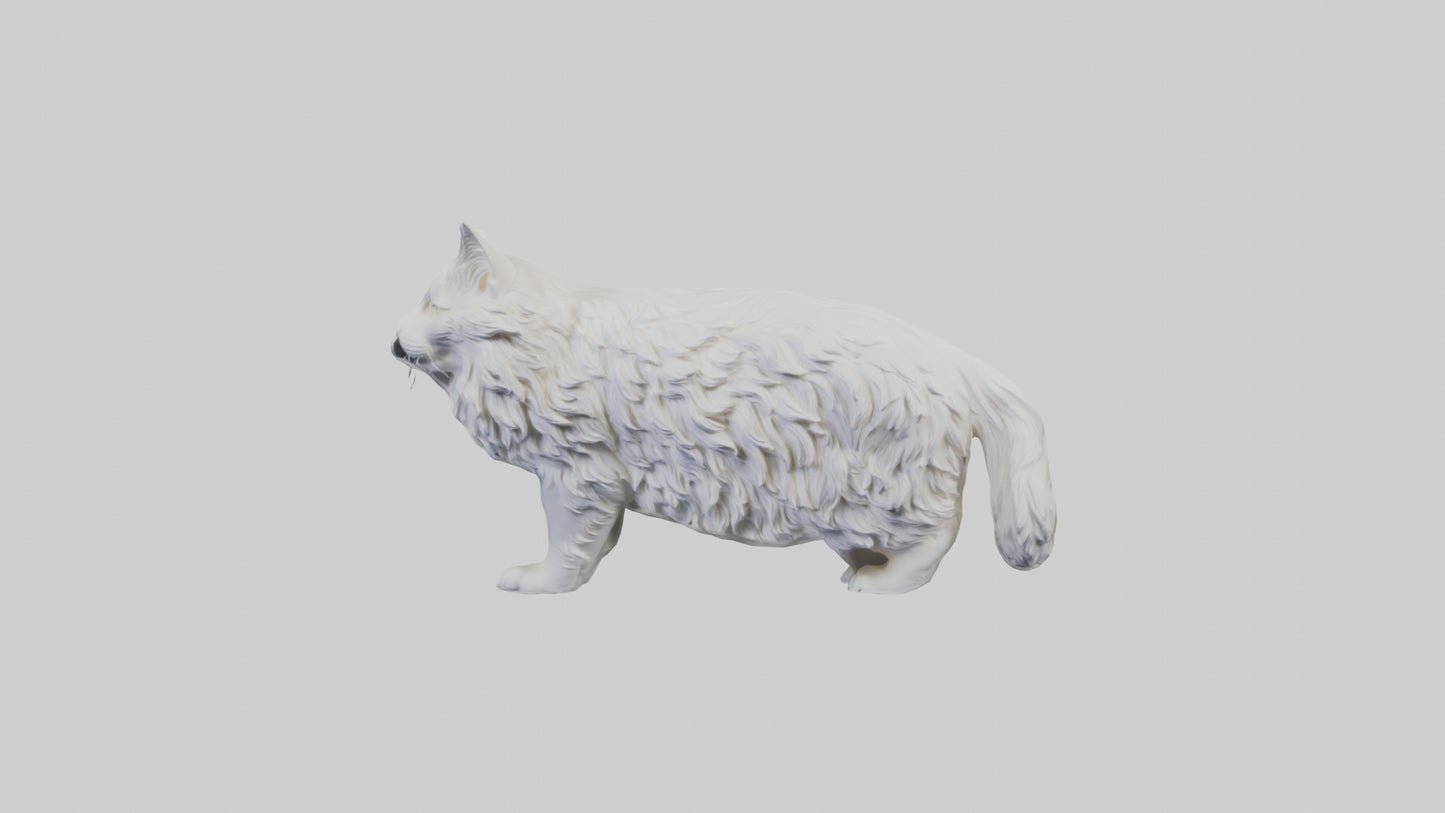 Norwegian Forest Cat statue model VR / AR / low-poly