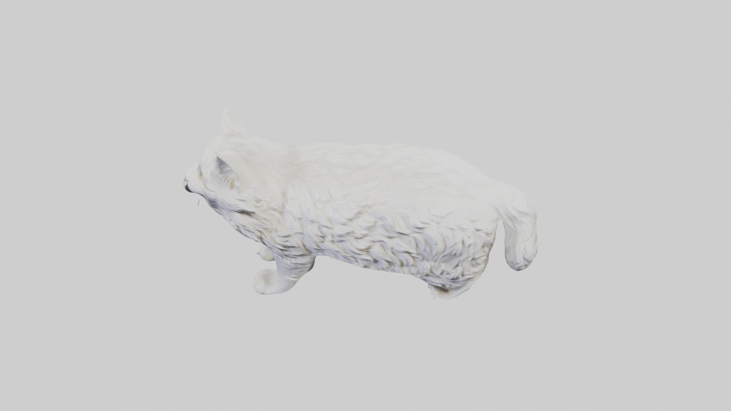Norwegian Forest Cat statue model VR / AR / low-poly