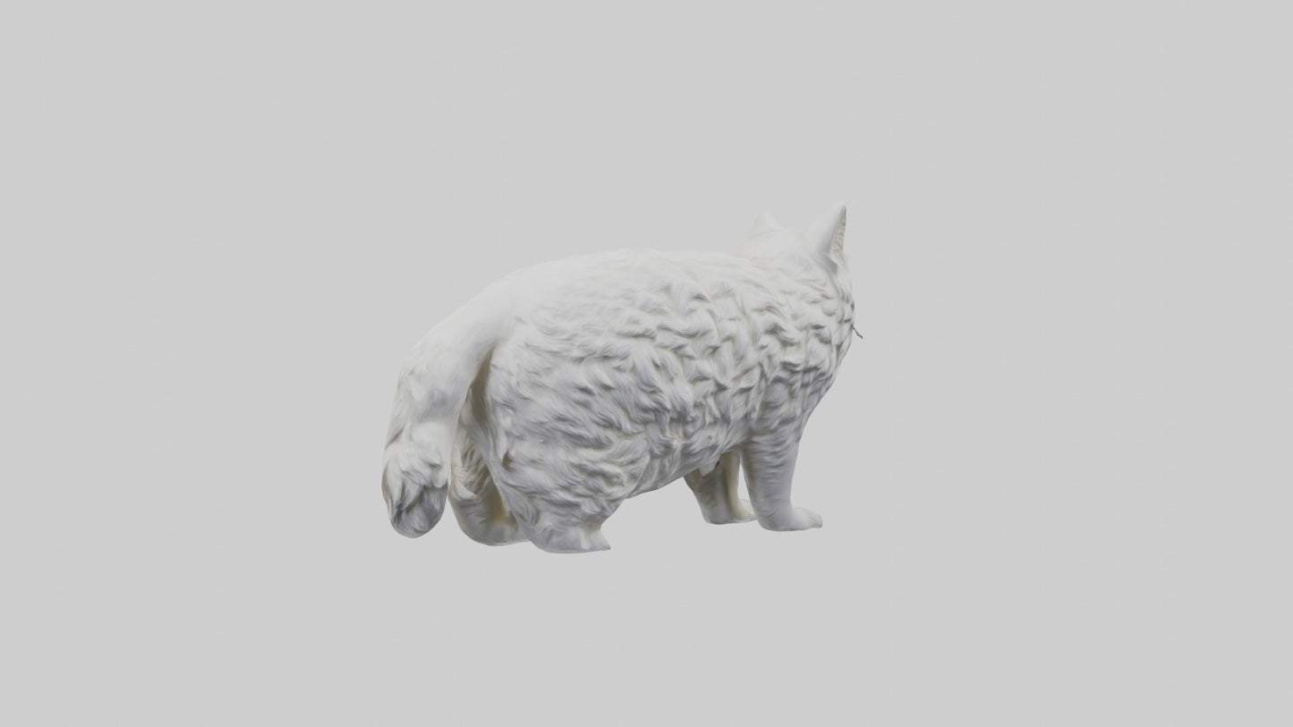 Norwegian Forest Cat statue model VR / AR / low-poly