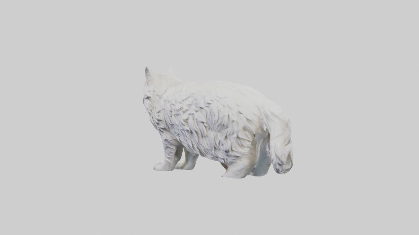 Norwegian Forest Cat statue model VR / AR / low-poly