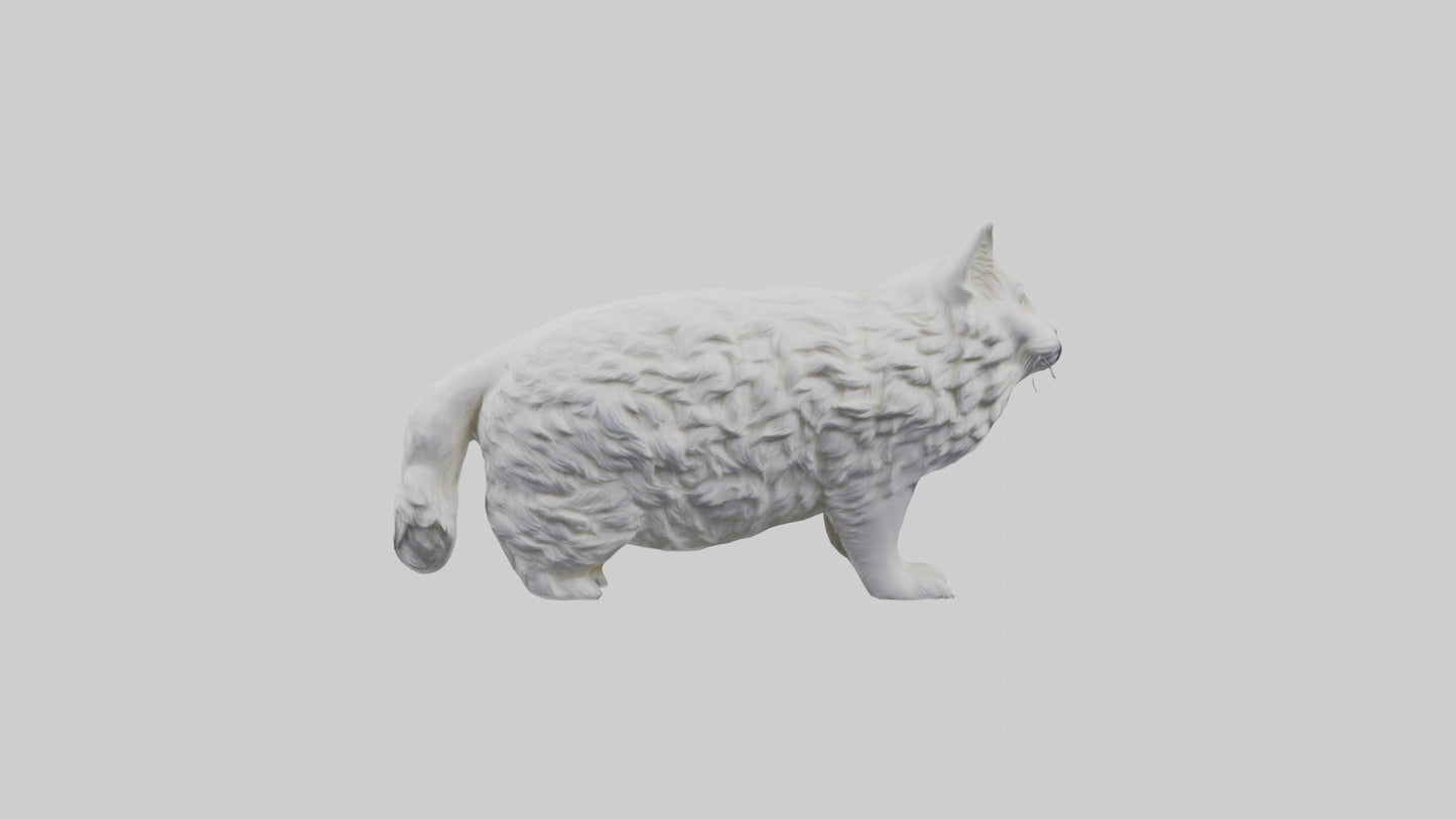 Norwegian Forest Cat statue model VR / AR / low-poly