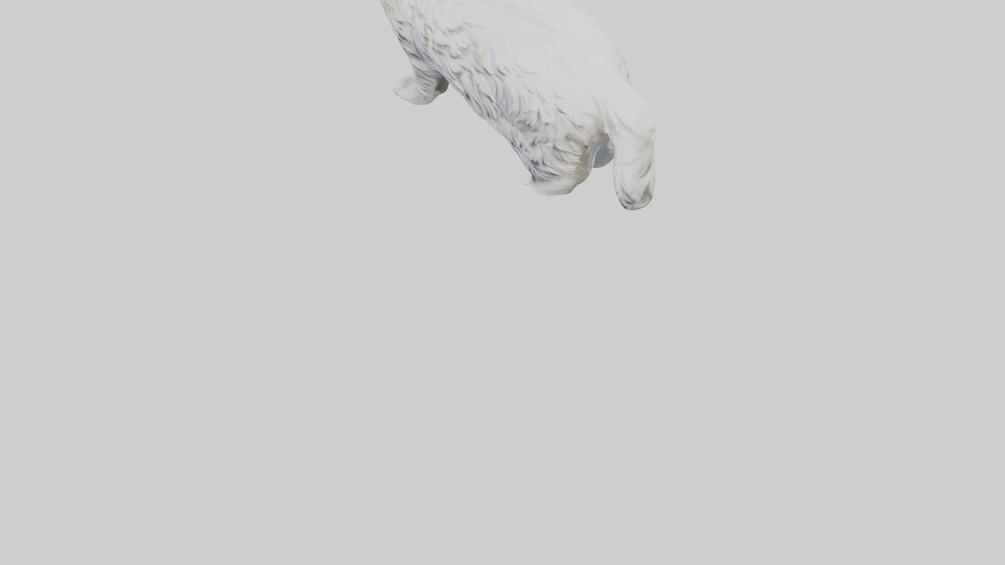 Norwegian Forest Cat statue model VR / AR / low-poly